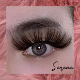 Serene - Lashpire
